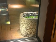 -觀芷隐轩
