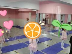 -蒲公英舞蹈艺术中心(解放路校区)