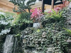 -白天鹅宾馆-宏图府餐厅