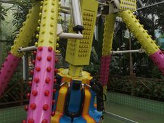 -南宫五洲植物乐园