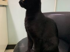 -全心全意连锁动物医院(加州店)