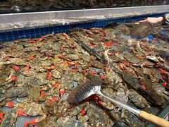 -一方渔歌蒸汽海鲜自助(文化路万达广场店)