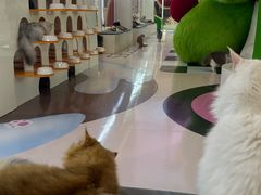 -天河领展广场