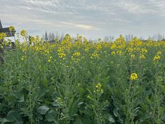 -中国天府农业博览园