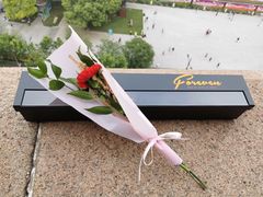 -上海和平饭店华懋阁 Cathay Room