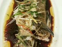 -新净雅烹小鲜(学院路店)