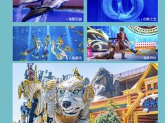 -上海海昌海洋公园