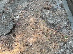 -羚羊峡古栈道森林公园