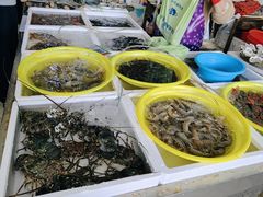 -板桥海鲜广场(文明东店)