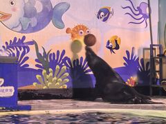 -太平洋海底世界