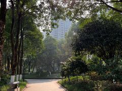 -重庆彩云湖湿地公园
