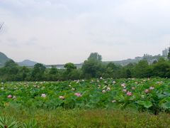 景点-贵阳市花溪国家城市湿地公园