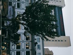 -上海市中医医院(芷江路院区)