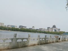 -莲花池公园