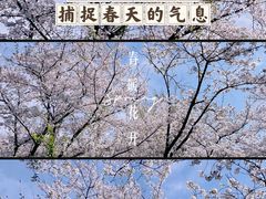 -闵行体育公园(七宝镇)