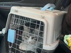 -爱妮康宠物医院·干细胞免疫细胞·肿瘤·心脏(张江店)