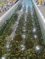 -钓虾工场·钓虾·赶海(回龙观店)