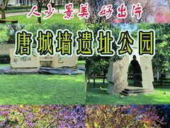 -唐城墙遗址公园