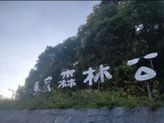 -南京老山国家森林公园