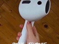 -中山市树木园