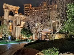 -上海浦东星河湾酒店