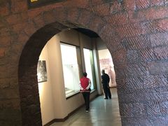 -乐山乌木文化博览苑