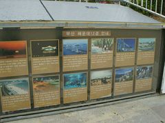 -海云台海滩