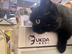 -FAELING PETS美天灵宠物(富力广场店)