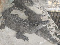 -昆明动物园