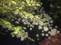 -浙江三立开元名都大酒店