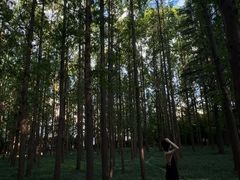 -河南省黄河迎宾馆