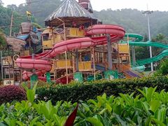 -重庆海昌加勒比海水世界