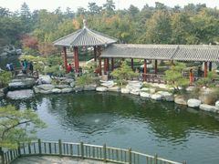 android_upload_pic-中国唐苑