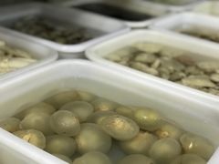 新鲜竹荪蛋-竹野·上|老字号全竹宴