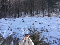 -亚布力新体委滑雪场