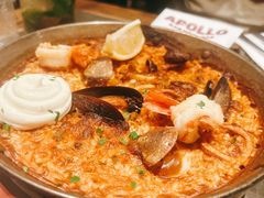 -Apollo·西班牙小酒馆(安福路店)