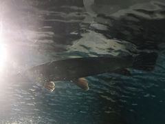 -苏州海洋馆