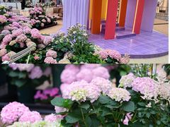 -上海长风大悦城
