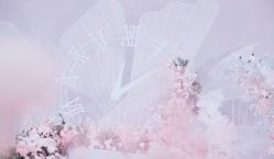 -忆江南婚礼策划(姑苏店)