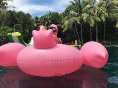 -三亚湾海居铂尔曼度假酒店