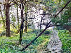 -东明山森林公园