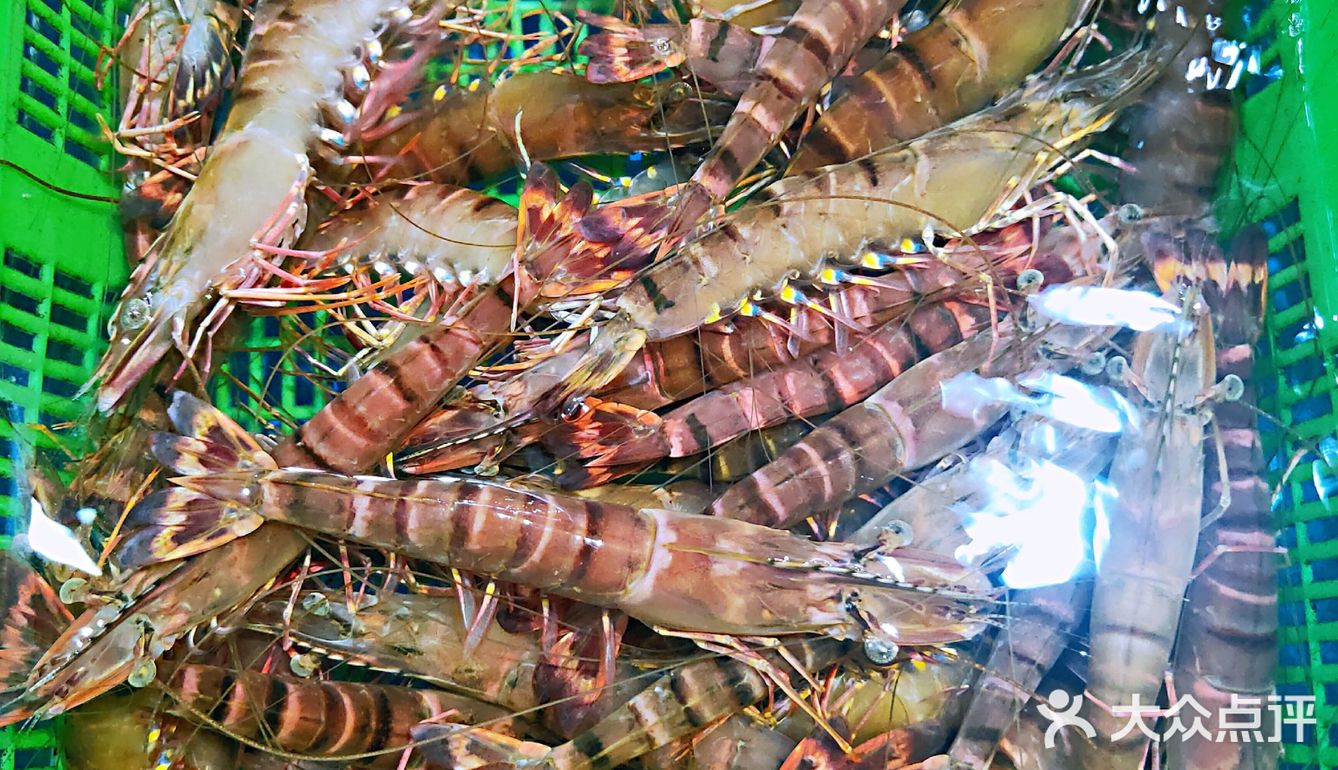【广海🦐海鲜】