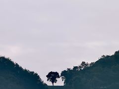 -杭州西湖风景名胜区-满觉陇四眼井