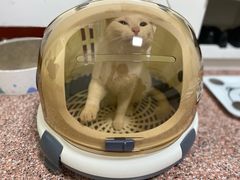 -胖哥俩肉蟹煲(盐城金鹰国际店)