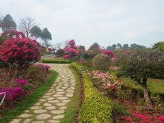 -东莞植物园