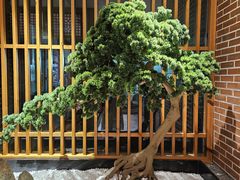-囍榷·鲜美常州菜(恐龙园店)