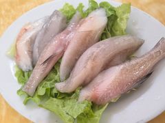-金砂阿洲鱼册店