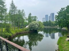 -尚贤河湿地