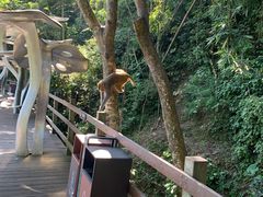 -野象谷景区