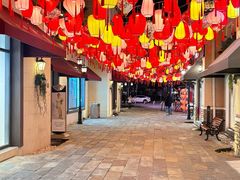 -斯普瑞斯奥特莱斯